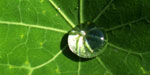 Platzhalter